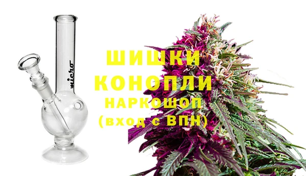 2c-b Белокуриха