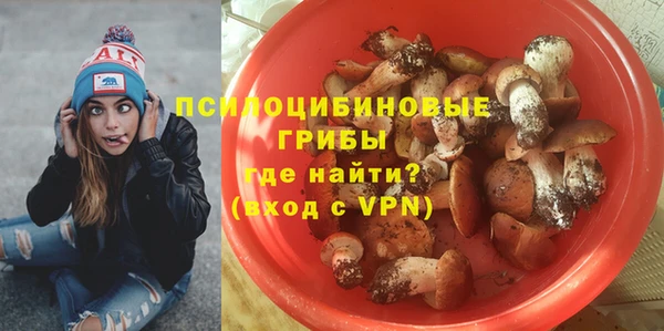 2c-b Белокуриха